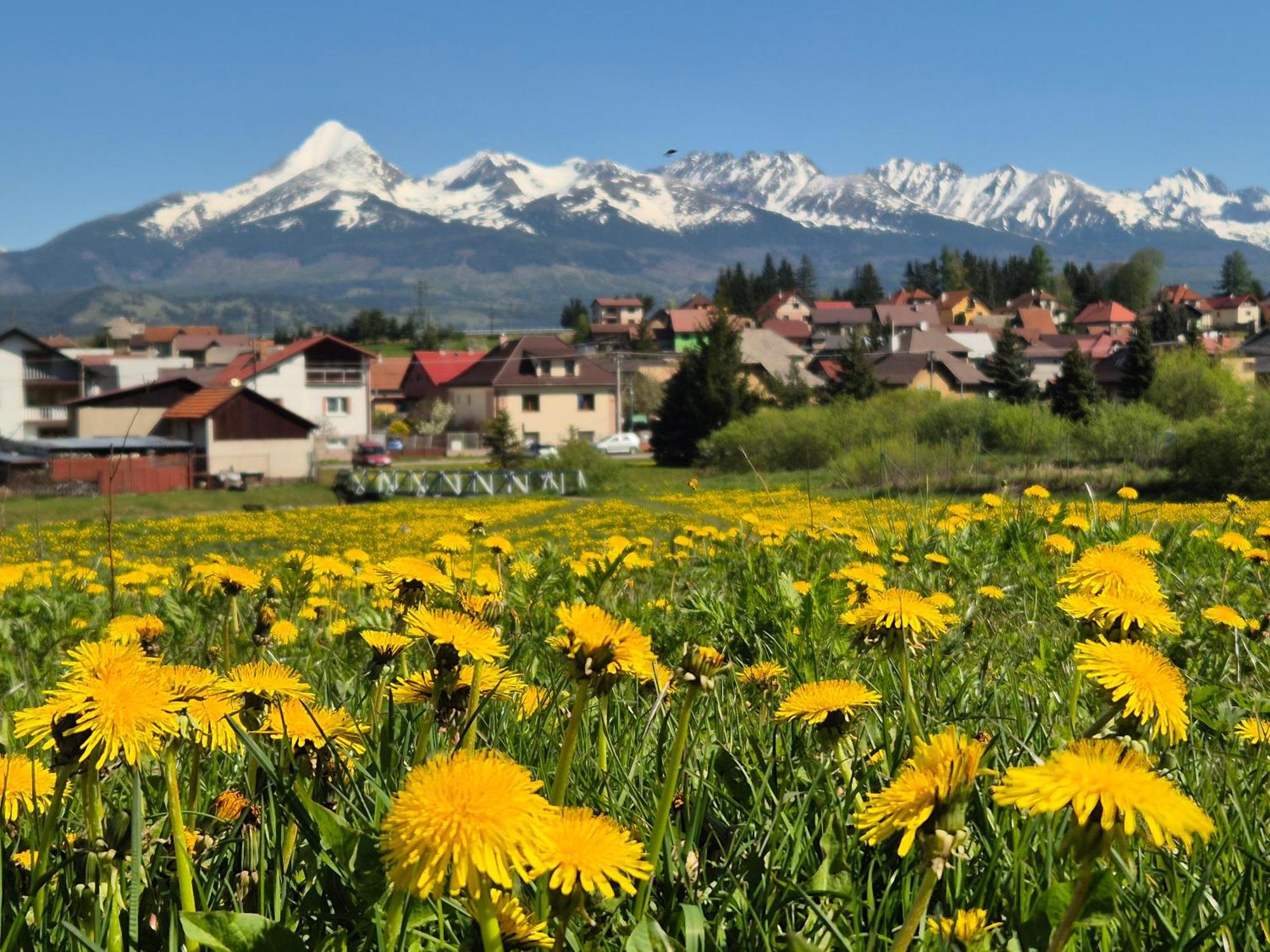 Apartmany Anicka Vo Vazci Važec Exterior foto